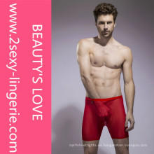 2015 hombres atractivos atractivos de la ropa interior de los nuevos hombres transparentes al por mayor atractivos panty